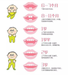 微信图片_20211030151521.png