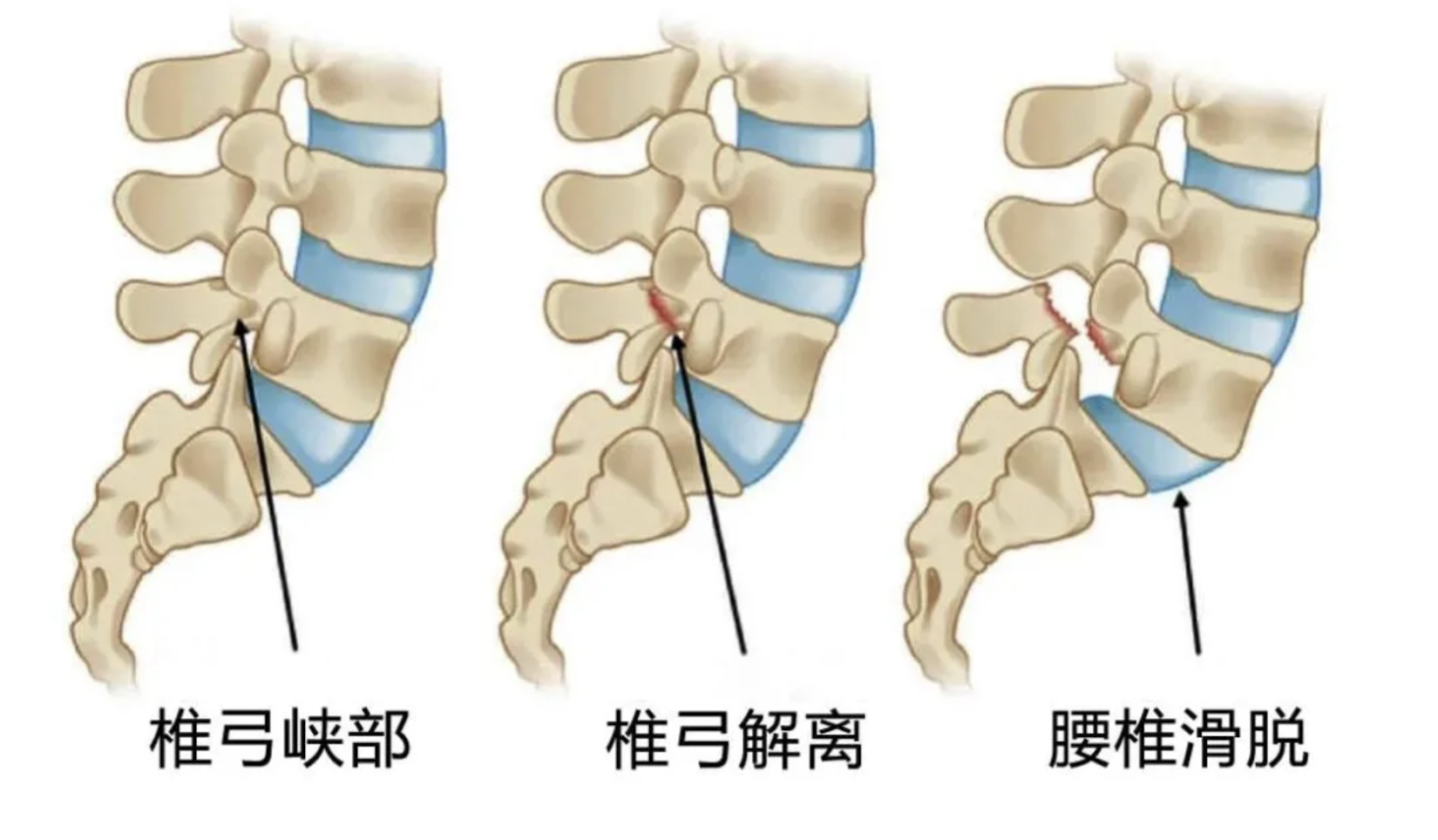 图片 4.png