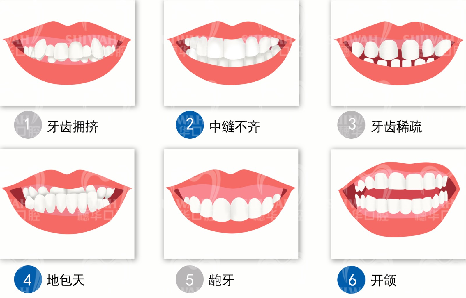 2019-5-14牙.jpg