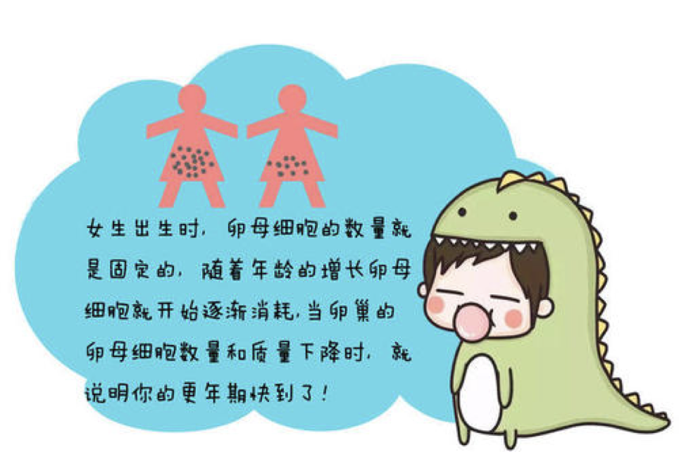 卵巢功能减退是怎么回事？