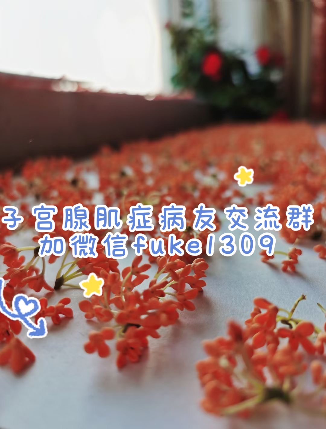 d19a6b1560ead8162195621ed848c72.jpg