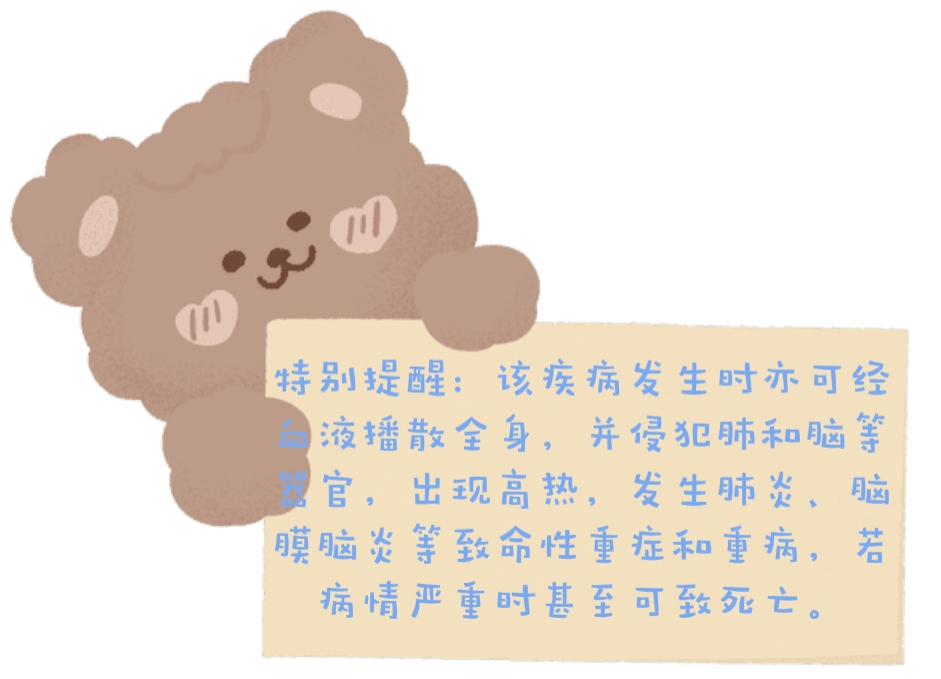 熊.jpg