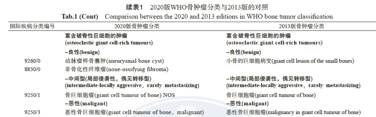 图片 11.png