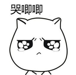 图片 19.png