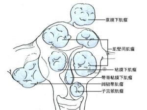 查看源图像