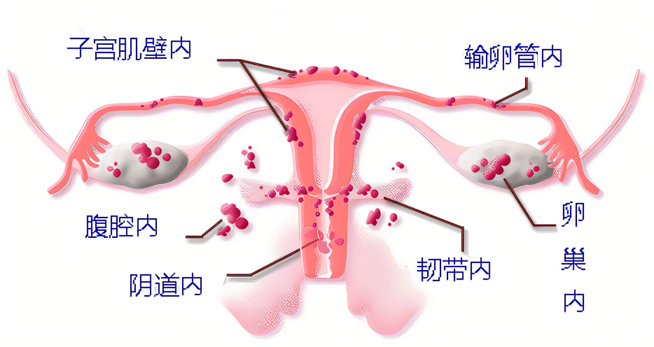 查看源图像