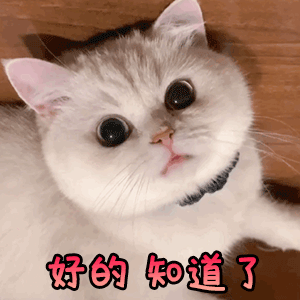 好的知道了.gif