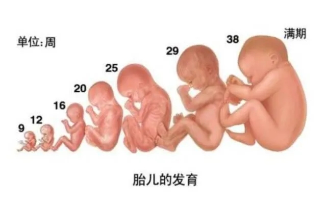 640.webp (2).jpg