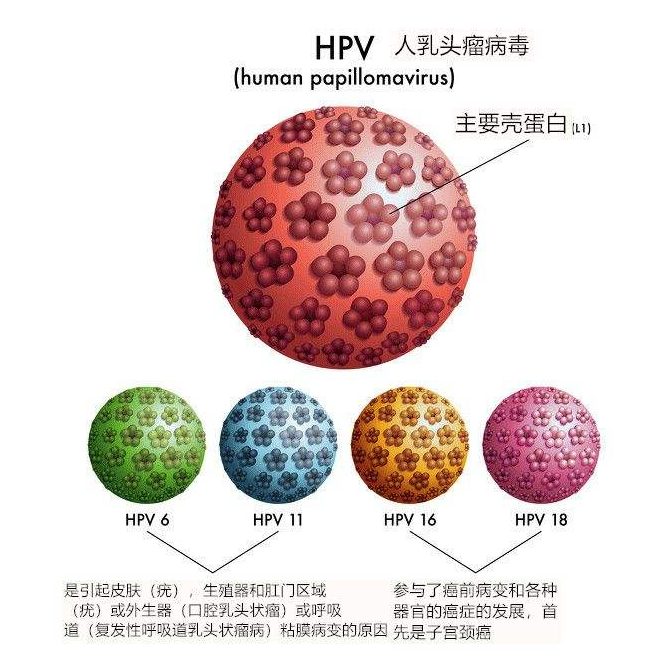 微信截图_20220215130855.png