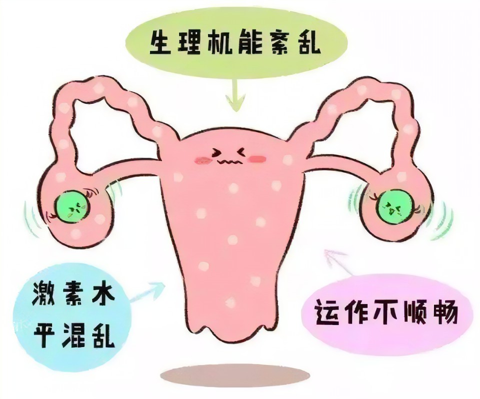 查看源图像