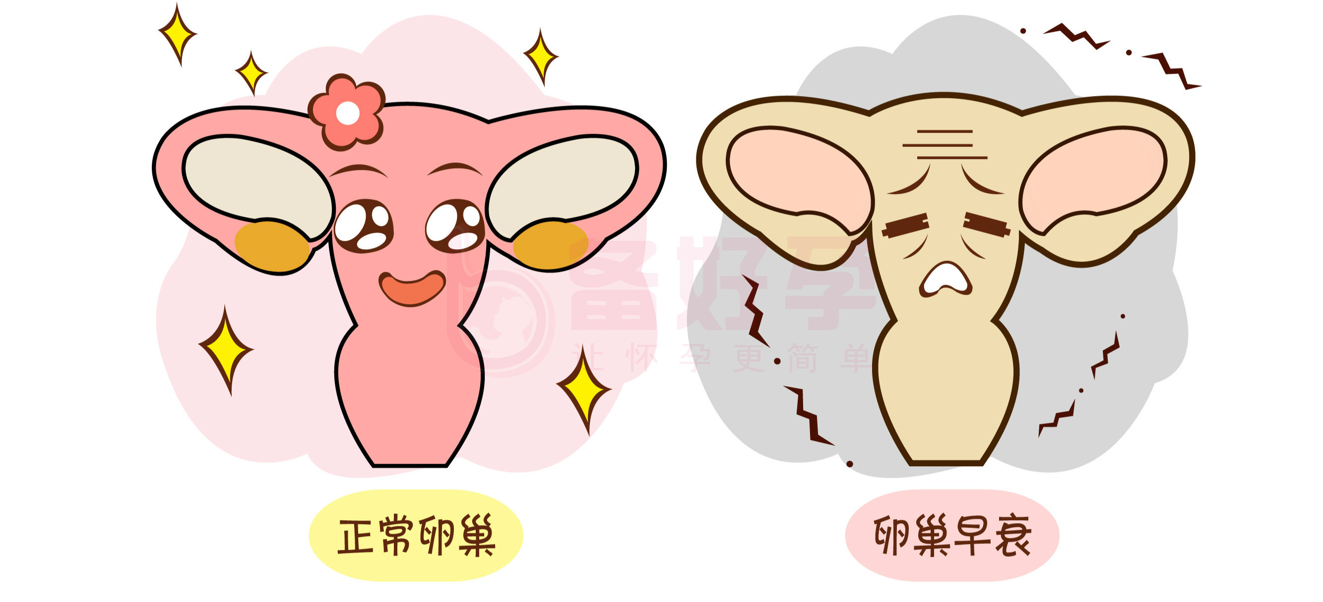 查看源图像