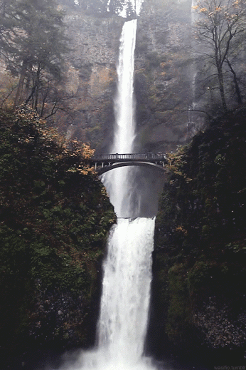 6589b1e6tw1e71b00e8y7g209m0ef15e.gif