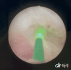 IMG_0139.GIF