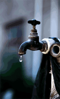 R-C.11950c37038fc8e2e0bbe63325aa5462.gif