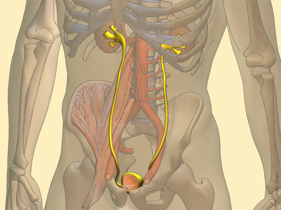 d3f47190ee945e202d7d08a82de157b.png