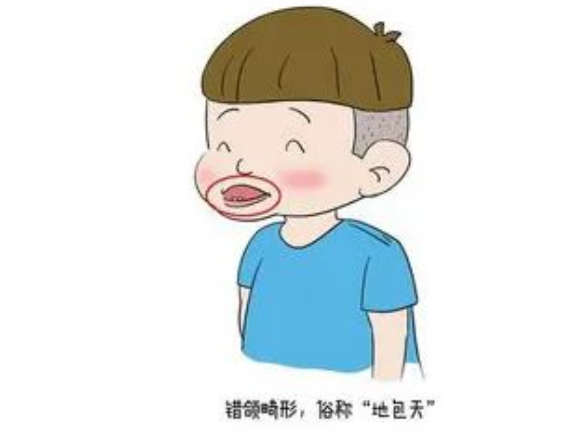 1645852318887124.png image.png