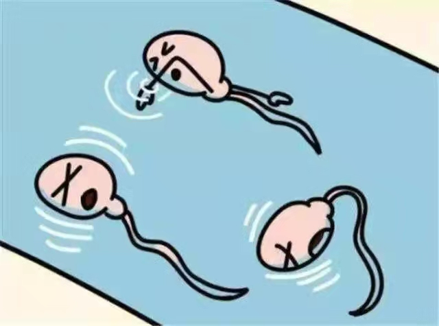blob.png