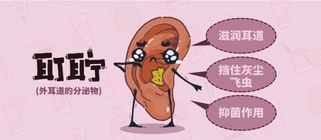 图片11.png
