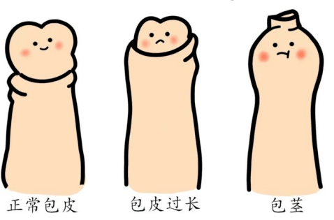 7d7483458ac34bcfb00fa05410202888.png