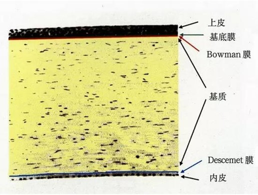 图片22345.jpg