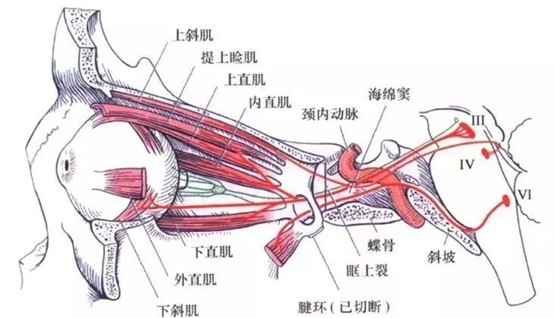 图片4111.jpg