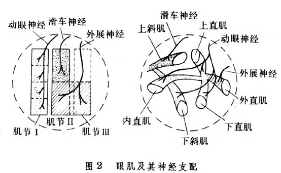 图片51111.jpg