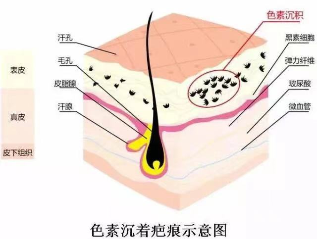 微信图片_20220309185501.png