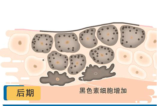 微信图片_20220309185534.png