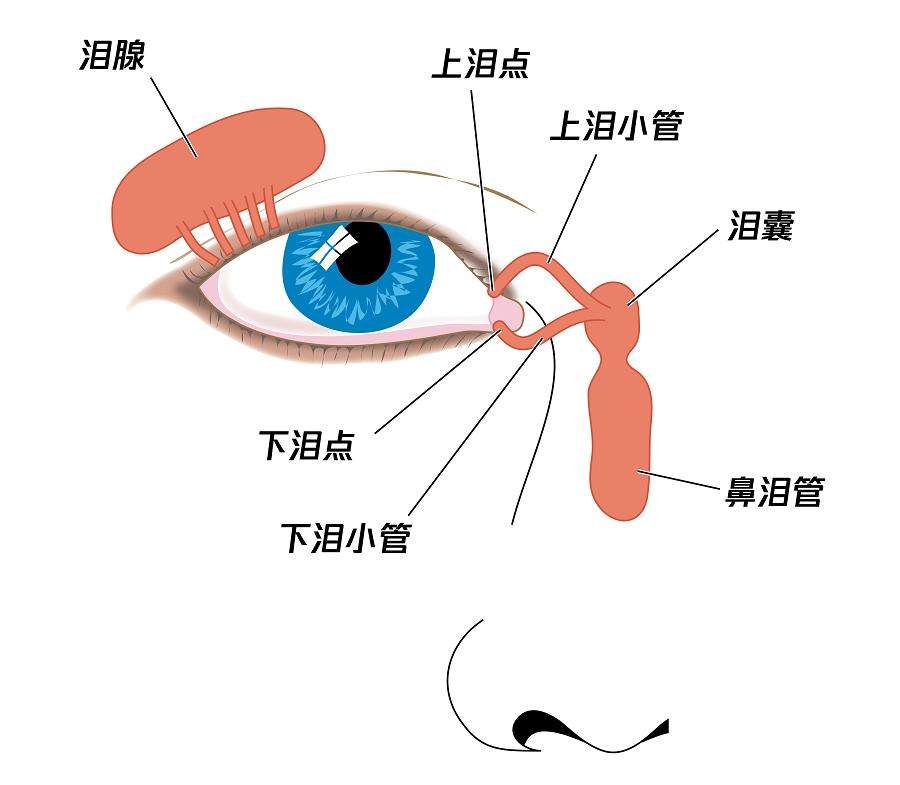泪5.jpg
