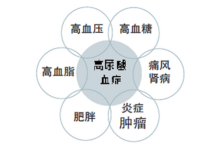 高尿酸血症.jpeg