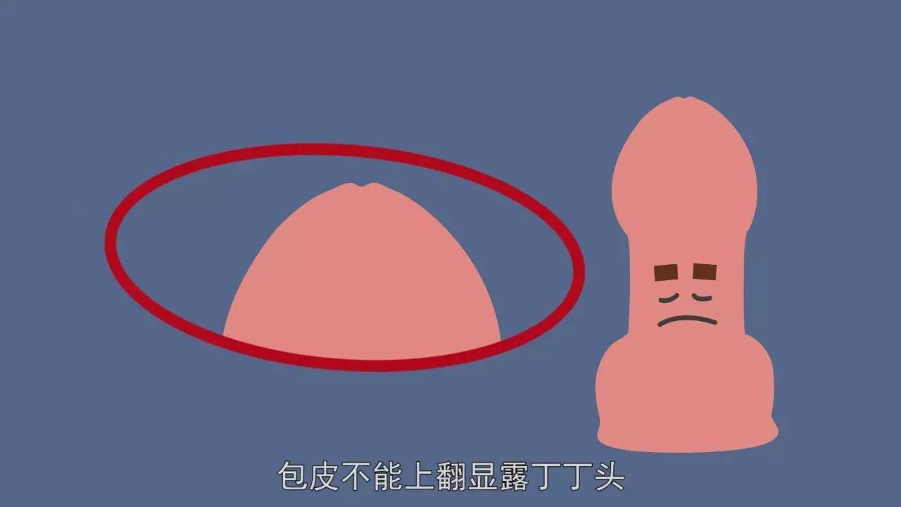 b8ce79703daf4b97999af8fb9bd84a86.jpeg