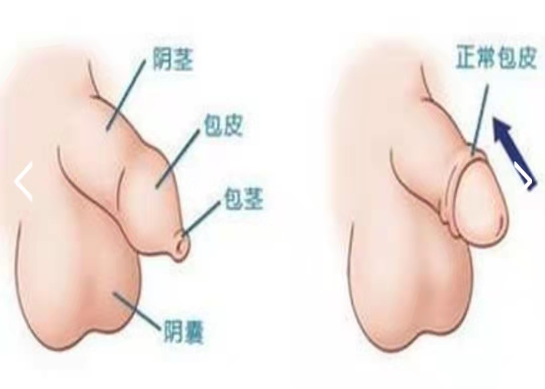 微信图片_20220314141003.jpg
