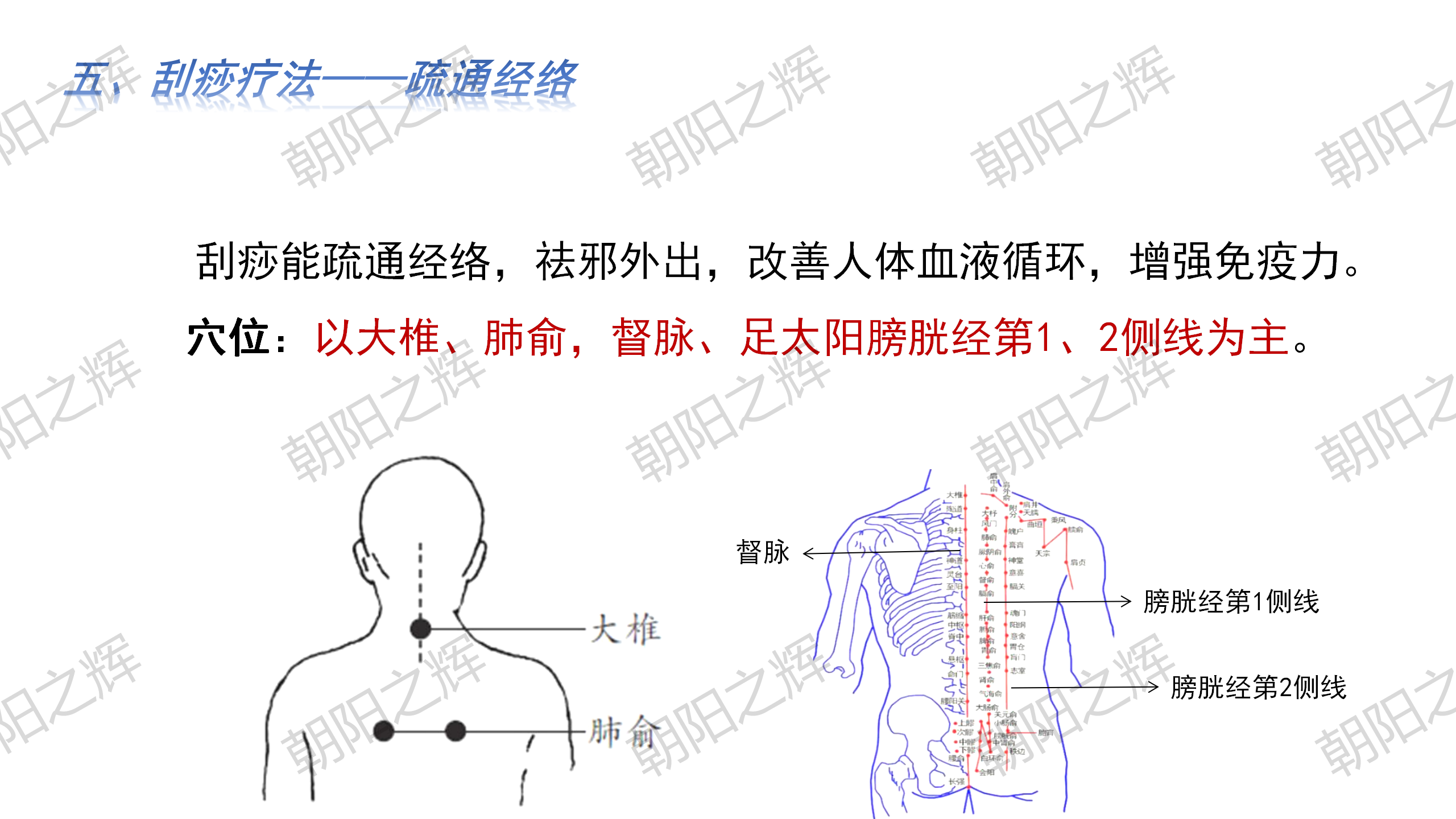 科普—防疫(2)_11.png
