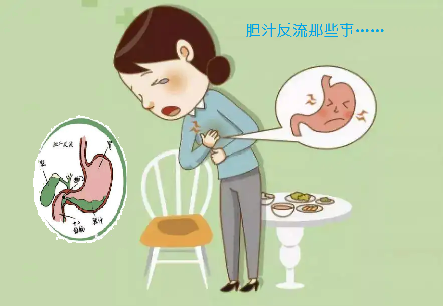 胆汁反流1.png