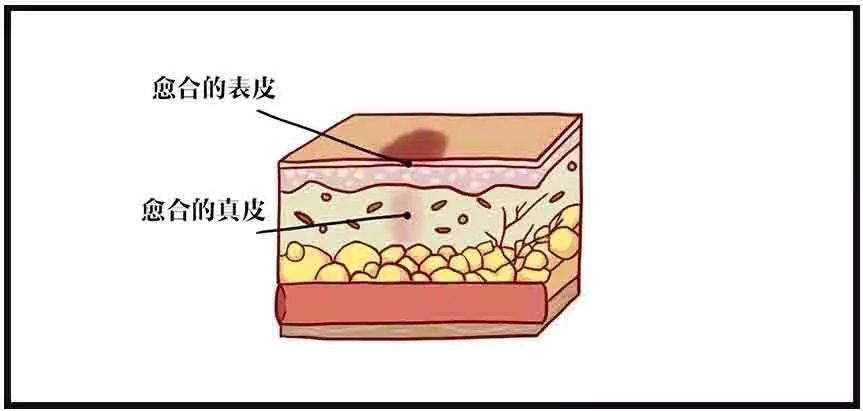 微信图片_20220319221844.jpg