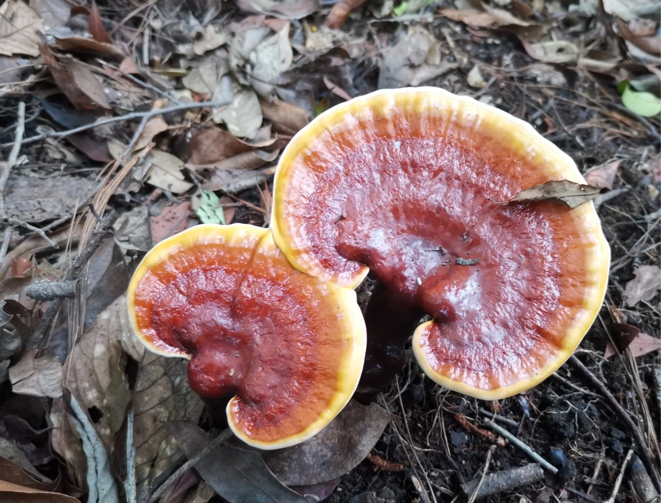 批注 2022-03-22 181051.jpg