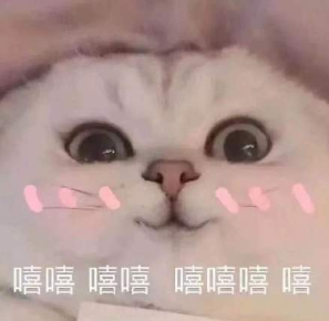 7ecf2b8539ff18c1a1cf9a77e21e924c.png