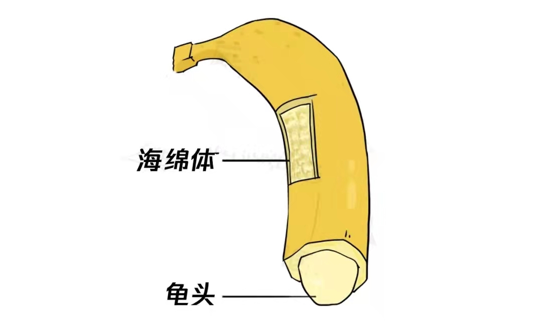 微信图片_20220325162920.jpg
