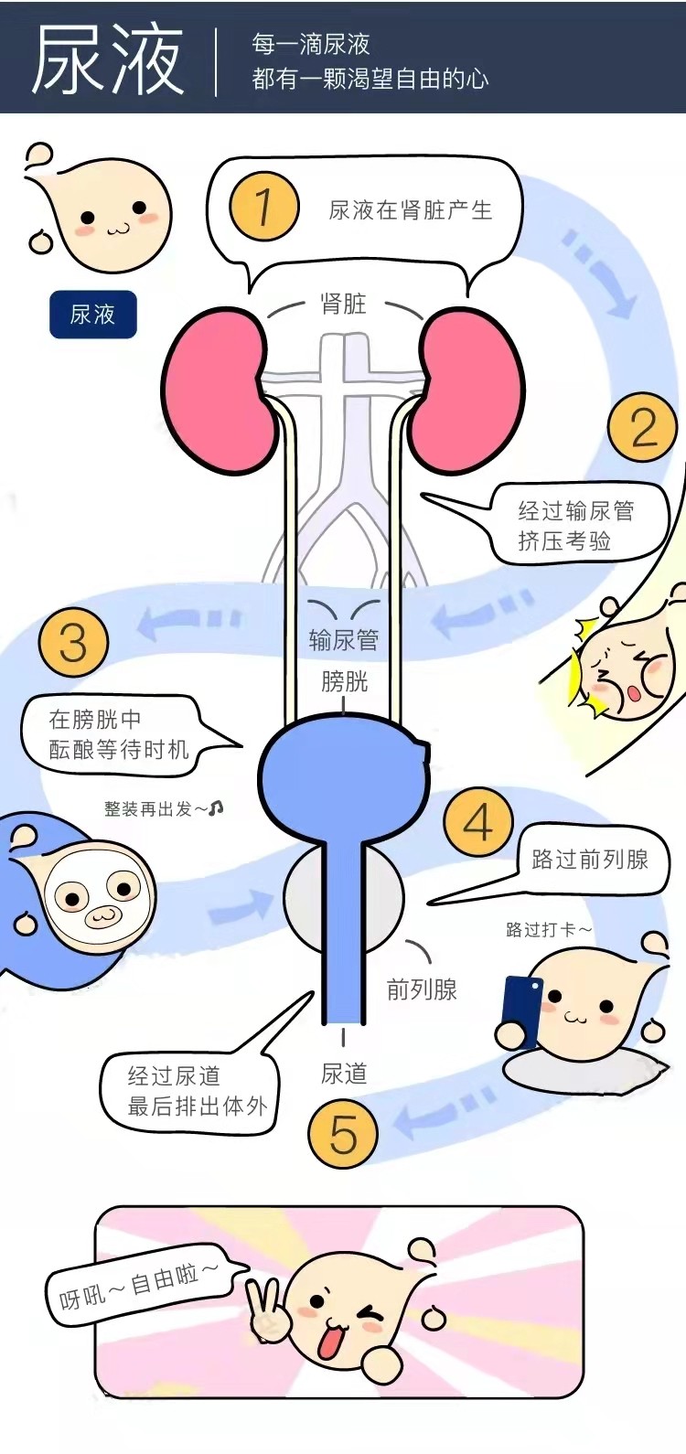 微信图片_20220325180427.jpg