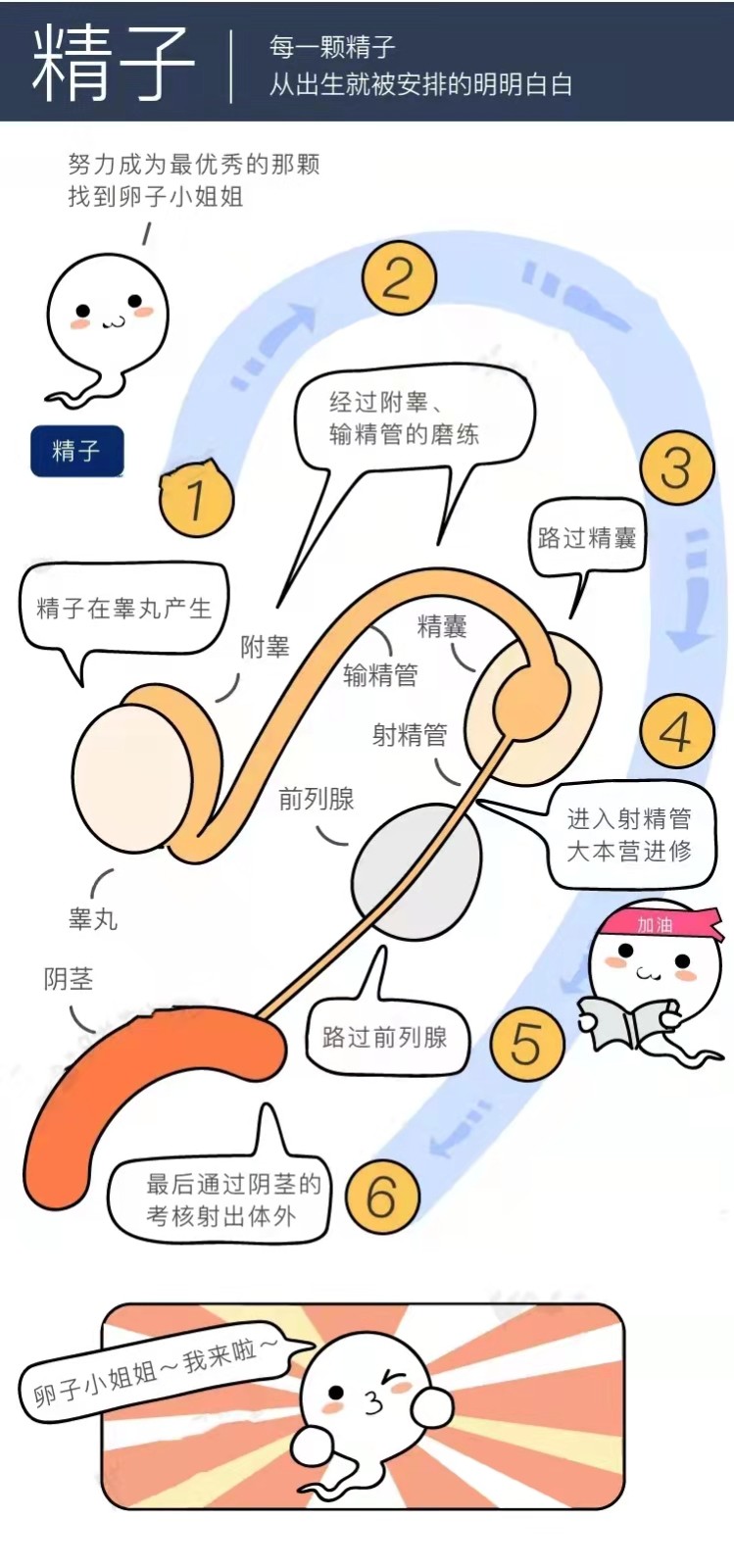 微信图片_20220325180440.jpg