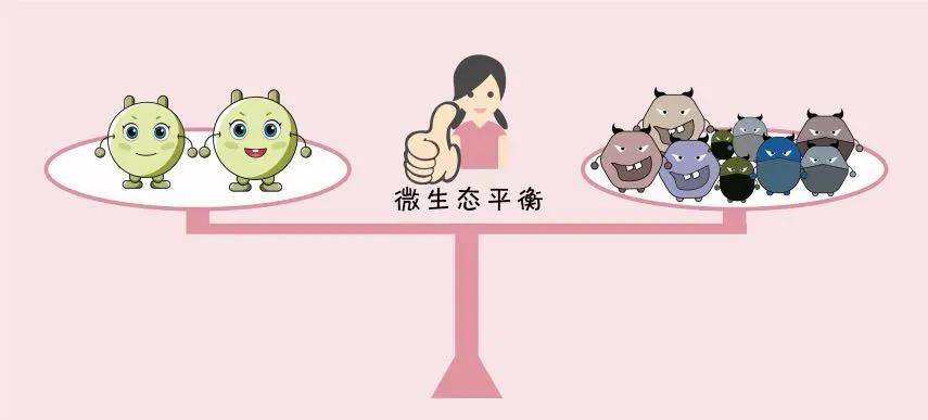 阴道稳态.jpeg