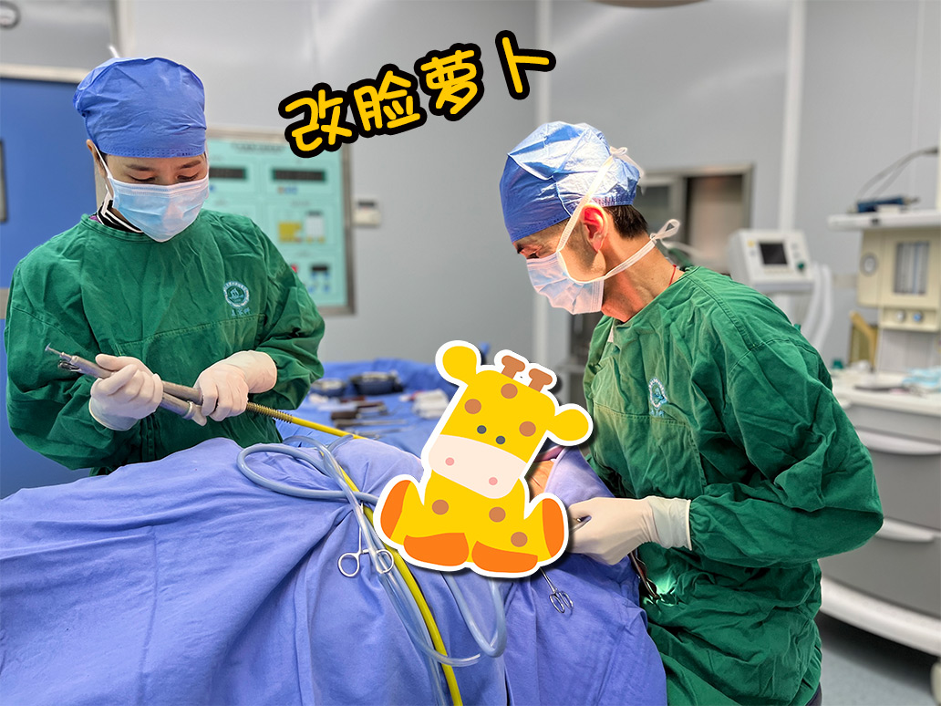 改脸萝卜.jpg