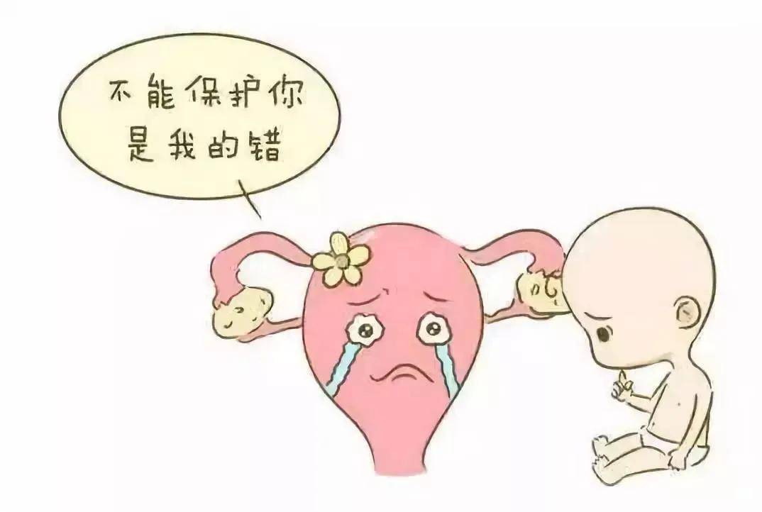 复发性流产-子宫因素.jpeg