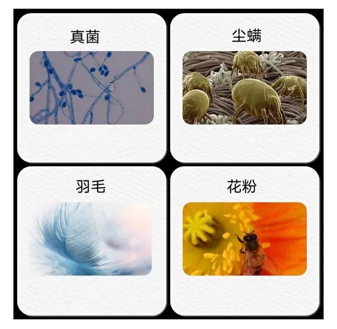微信图片_20220330145814.jpg