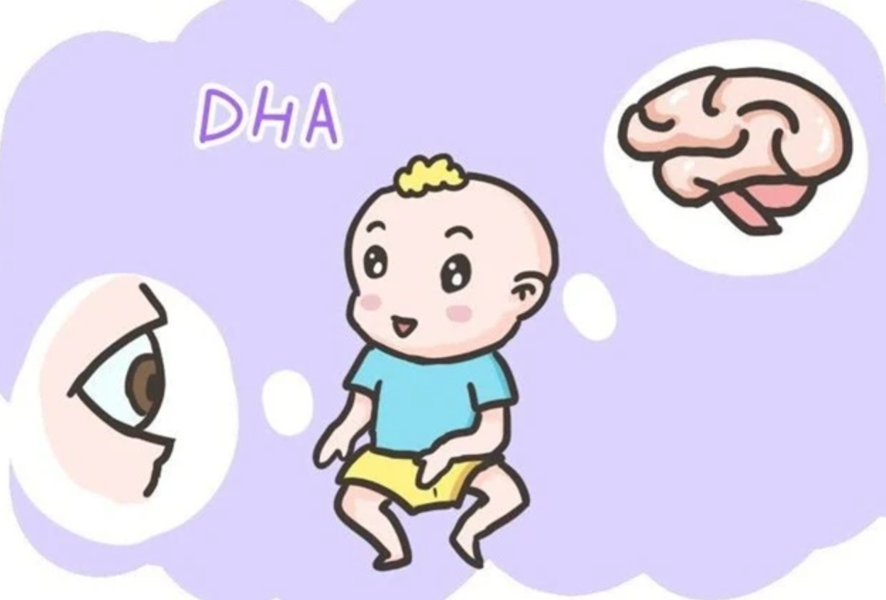 孕期营养DHA.png