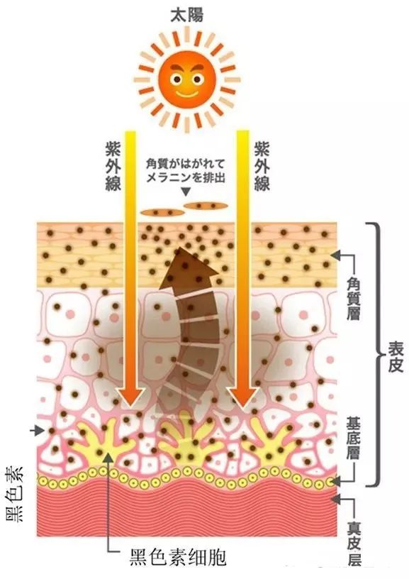 235206e266ea55d25da3710329b95b7e_640_wx_fmt=jpeg&wxfrom=5&wx_lazy=1&wx_co=1.jpg