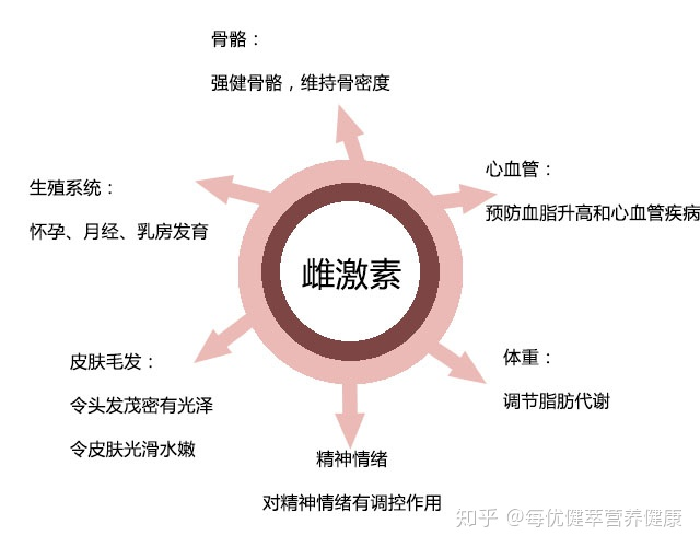 雌激素.png