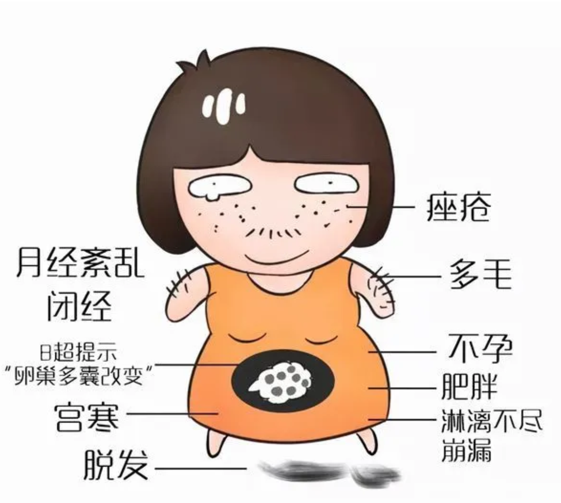 睾酮.png