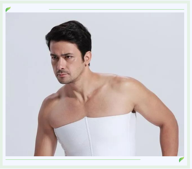 男乳1.2.png