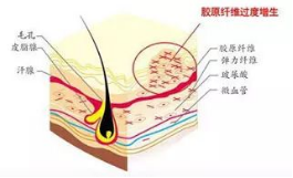 微信图片_20220406181735.png